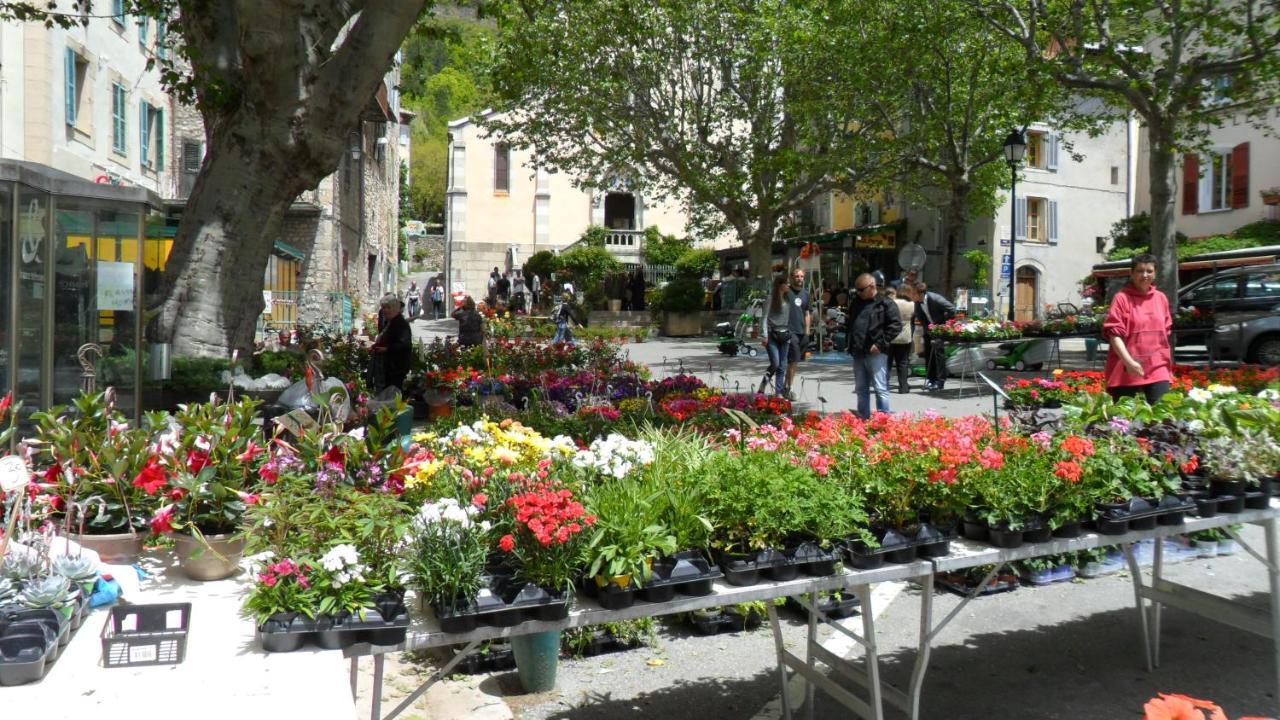 Residence de Plein Air Panoramique à la Porte des Gorges du Verdon Castellane Exterior foto